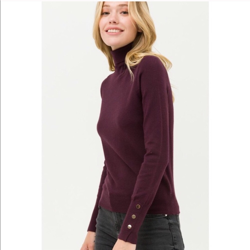 Plum Turtle Neck